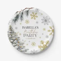 Birthday Winter  Paper Plates