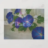 Blue Morning Glory Flowers Thank You Postcard