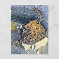 American Toad Digital Painting Postcard