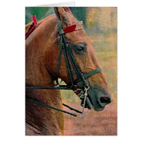 Saddlebred Faux Painting
