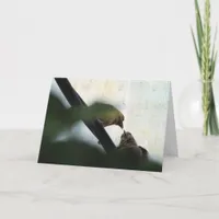 Goldfinch Feeds Baby Bird, Birthday Card