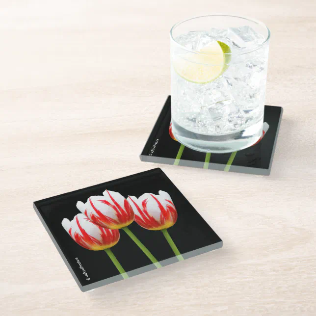 Elegant Red White Maple Leaf Tulips Glass Coaster