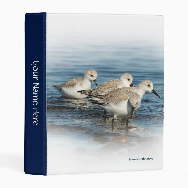 Funny Cute 4 Sanderlings Sandpipers at the Beach Mini Binder