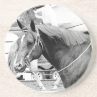 Western Horse in Black and White Sandstone Coaster