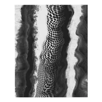 Black and White Abstract Modern Illusion Art   Faux Canvas Print