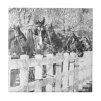 Line of Amish Horses Black and white Tile