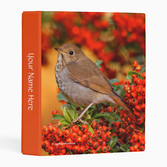 Hermit Thrush Songbird on Scarlet Firethorn Mini Binder