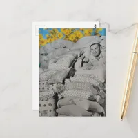 A Man With Retro Floral Print Flour Sacks Pile  Postcard