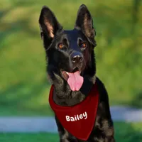 Custom Personalized Name Minimal Deep Red Pet Bandana Collar