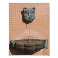 Plaza Cat Fountain Photo Print