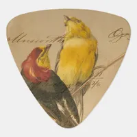 Vintage Birds Guitar Pick
