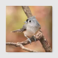 Tufted Titmouse Fall Bird Photo Magnet