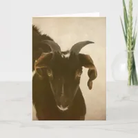Nubian Card