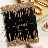 Black gold glitter drips monogram name 2025 planner