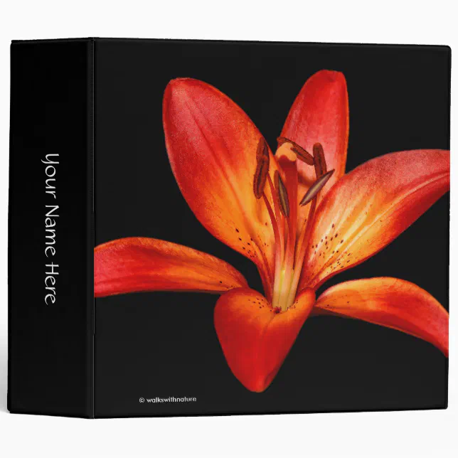 Red Orange Asiatic Lilies Gran Paradiso Binder