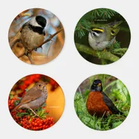 Songbirds of North America (I) Coaster Set