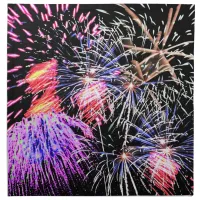 Fireworks Display Cloth Napkin