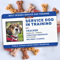 Service Dog In Training ID Blue Personalized Photo Badge