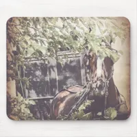 Amish Horse and Buggy in the Shade Mouse Pad