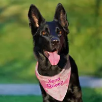 Camouflage Pastel Pink Abstract Pet Name Pet Bandana Collar