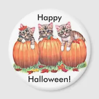 Kittens on Pumpkins for Halloween Button Magnet