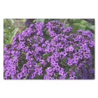 Intriguing Purple Flowers Tissue Paper