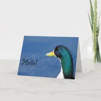 Hello! Card
