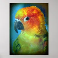Pretty Bird Poster