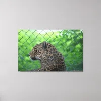 Leopard Canvas Print