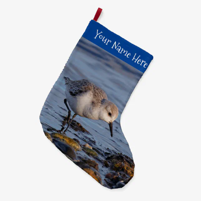 Cute Sanderling Sandpiper Strolling Wintry Shores Large Christmas Stocking