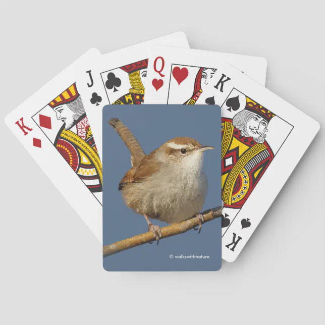 A Curious Bewick's Wren in the Tree Poker Cards