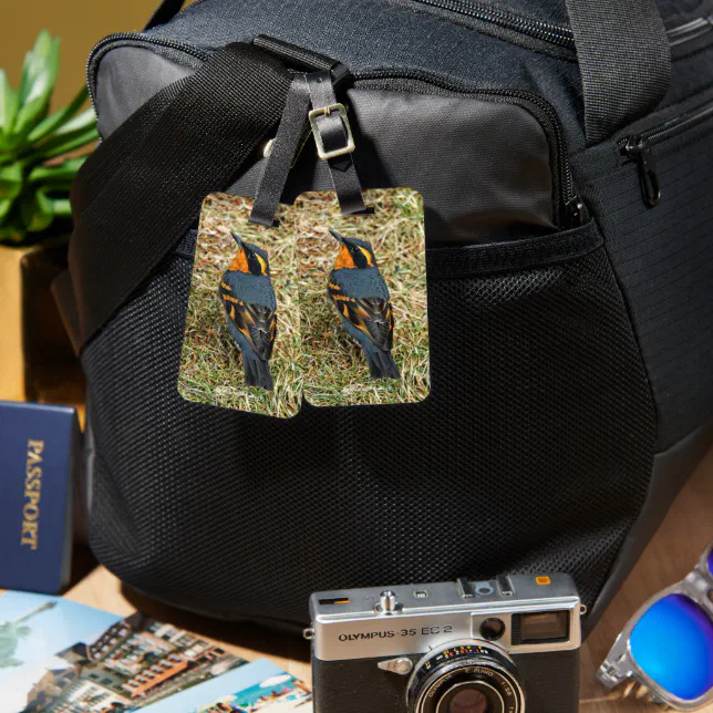 Stunning Varied Thrush Songbird in the Grass Luggage Tag