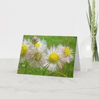 Pretty as a Daisy Card
