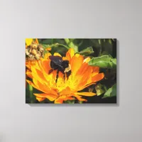 Canvas Print - Calendula and Bee