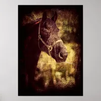 Fresian Grunge Poster