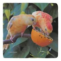 Love is Sharing: Yellow Turquoisine Parakeets Trivet