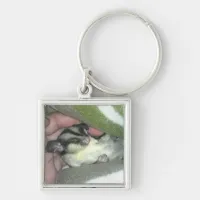 Sugar Glider Sleeping in Blanket Keychain