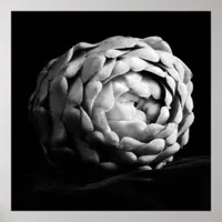 Artichoke Close Up Black and White Photography Poster