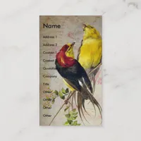 Antique Birds Business Card