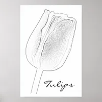 Tulip Sketch Poster