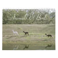 Calendar - Animals and Birds