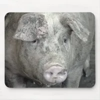 Pig Mouse Pad