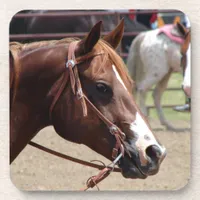 At the Horse Show Coaster