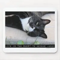 Do Not Be Jaded Funny Cat Motivation Quote Mouse Pad