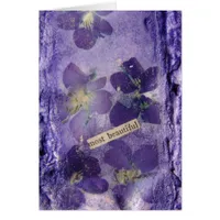 Most  Beautiful Purple Violets