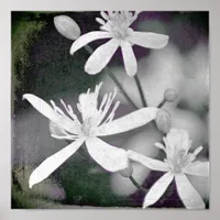 White Flowers Poster