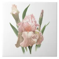 Pretty Pink Bearded Iris Flower Botanical Art Ceramic Tile