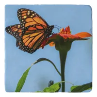 Monarch Butterfly Feeding on Orange Lily Trivet