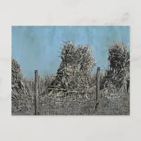 The Corn Harvest in rural Iowa Amish country Postcard