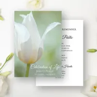 White Tulip Spring Celebration of Life Funeral Invitation